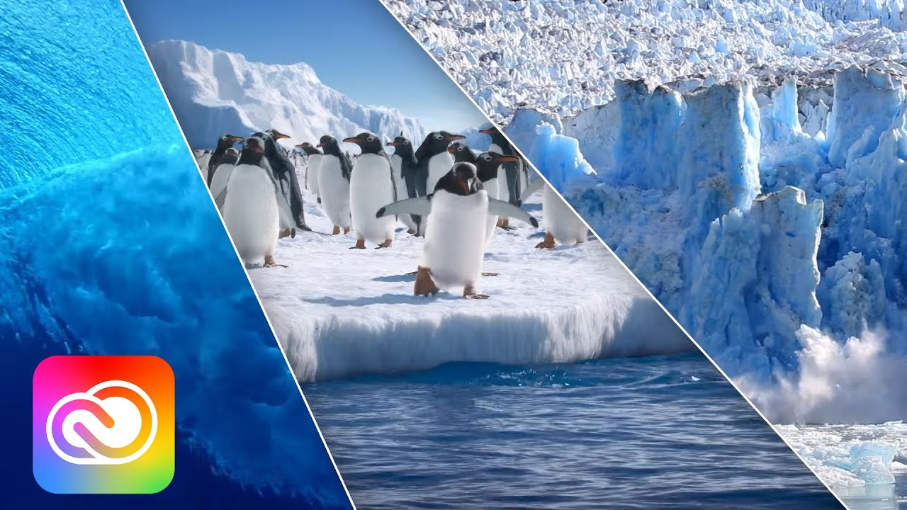 Nature Stock Footage from Adobe Stock | Adobe Creative Cloud