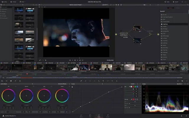 DaVinci Resolve Screenshot