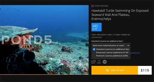 Pond5 Extended License Clip