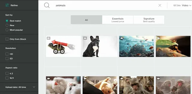iStock Footage Search