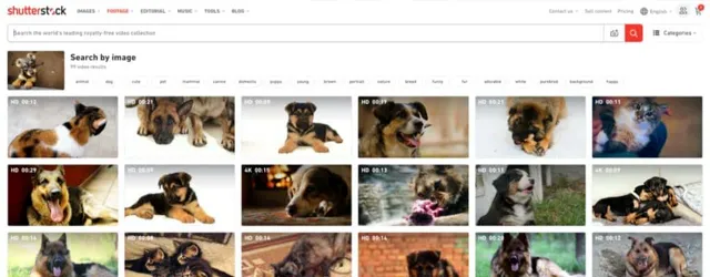 shutterstock reverse video search results