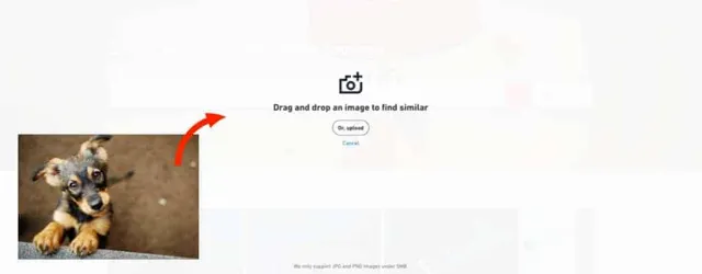 shutterstock reverse video search