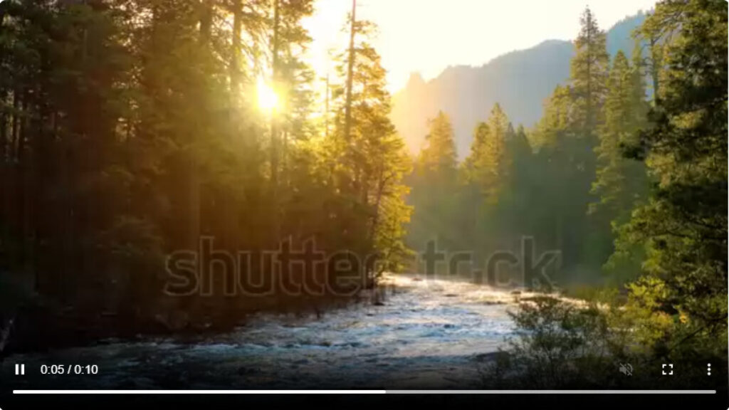 Discover Stunning Autumn Videos on Shutterstock 3 Nature and Landscapes - Shutterstock Autumn Videos