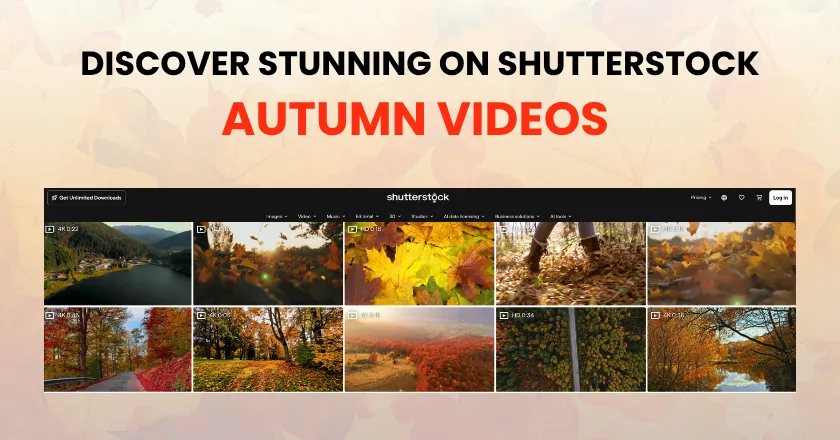 autumn video of shutterstock