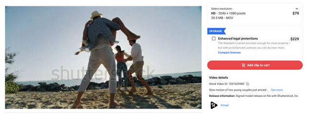 Shutterstock Download