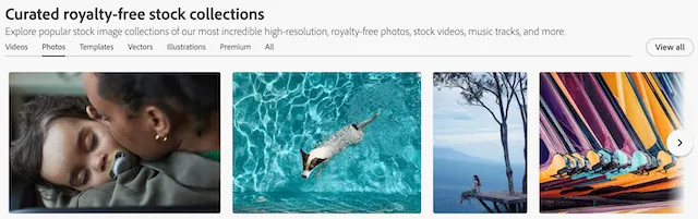adobe stock collections