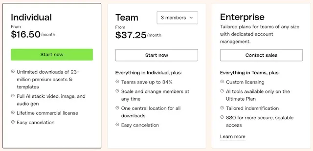 Envato Black Friday: A Guide to Saving on Creative Assets 3 envato pricing