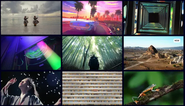 motion array samples