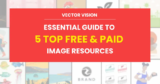 Vector Vision: Your Essential Guide to 5 Top Free & Paid Image Resources