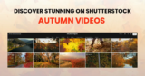 Discover Stunning Autumn Videos on Shutterstock